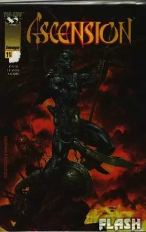 ASCENCIÓN #011 (N.00011)