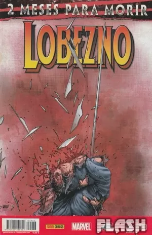 LOBEZNO AÑO 07 #043 (N.00043)