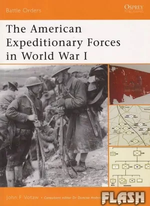 AMERICAN EXPEDITIONARY FORCES IN WORLD WAR  I