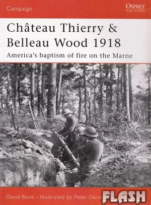CHATEAU THIERRY & BELLEAU WOOD 1918