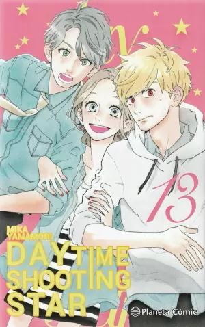 DAYTIME SHOOTING STAR Nº 13 / 13