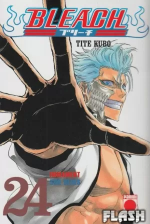 BLEACH 24