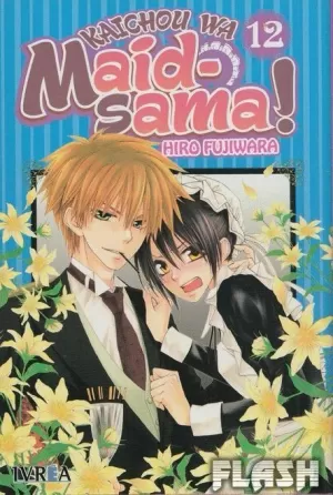 KAICHOU WA MAID-SAMA 12
