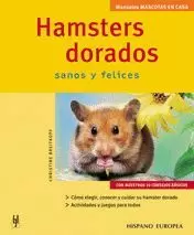 HAMSTERS DORADOS -MASCOTAS EN CASA