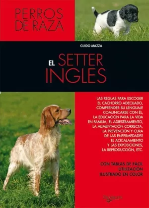 SETTER INGLES