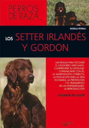 SETTER IRLANDES Y GORDON