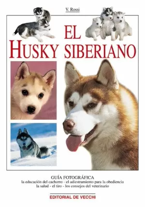 HUSKY SIBERIANO EL