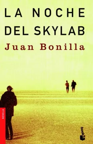 NOCHE DEL SKYLAB LA