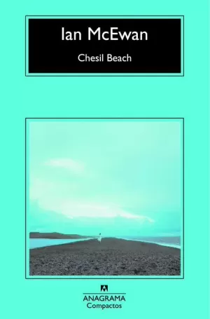 CHESIL BEACH