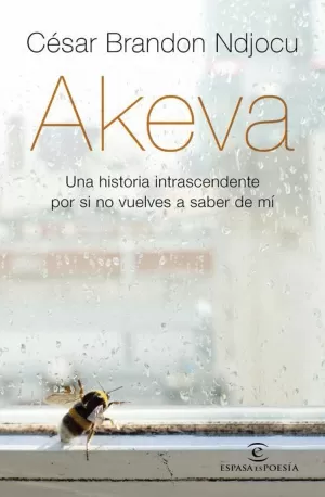 AKEVA : UNA HISTORIA INTRANSCENDENTE POR SI NO VUELVES A SABER DE MÍ