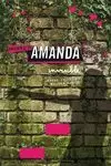 PROYECTO AMANDA INVISIBLE