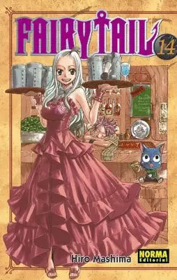 FAIRY TAIL 14