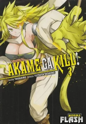 AKAME GA KILL 03