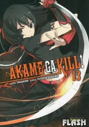 AKAME GA KILL 13