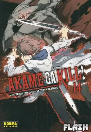 AKAME GA KILL 14