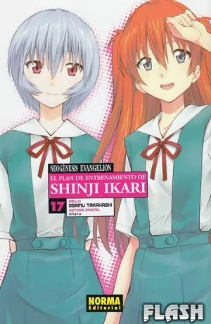 NEOGÉNESIS EVANGELION : EL PLAN DE ENTRENAMIENTO DE SHINJI IKARI 17