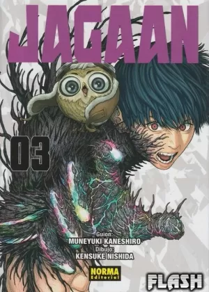 JAGAAN 03