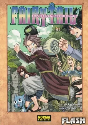 FAIRY TAIL : DESPUES DEL GRAN TORNEO DE LA MAGIA (NOVELA)