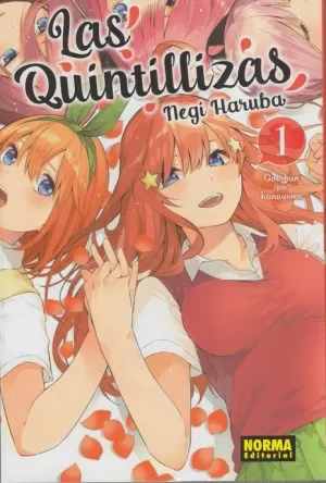 QUINTILLIZAS 01