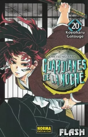 GUARDIANES DE LA NOCHE 20