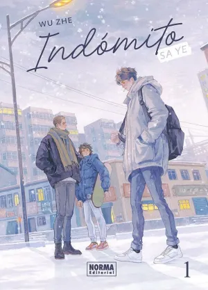 INDOMITO: SA YE 01 ED. ESPECIAL