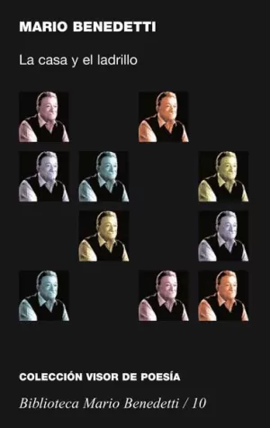 CASA Y EL LADRILLO MARIO-10