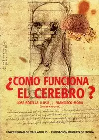 COMO FUNCIONA EL CEREBRO?