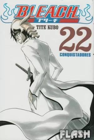 BLEACH 22