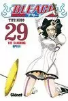 BLEACH 29