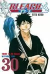 BLEACH 30