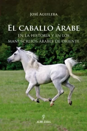 CABALLO ARABE EL