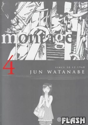 MONTAGE Nº 04 / 09