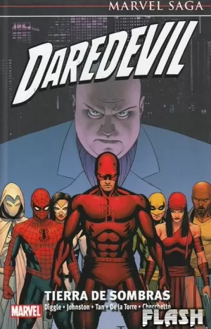 DAREDEVIL 23 : TIERRA DE SOMBRAS (MARVEL SAGA 84)