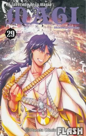 MAGI : EL LABERINTO DE LA MAGIA Nº 29 / 37