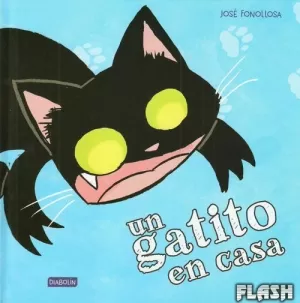 UN GATITO EN CASA
